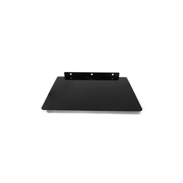 Wall Mount DVD